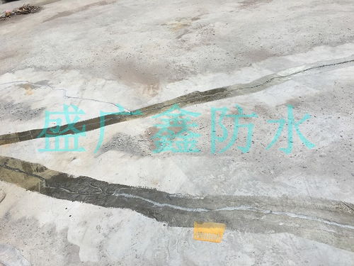 福州伸缩缝防水补漏材料